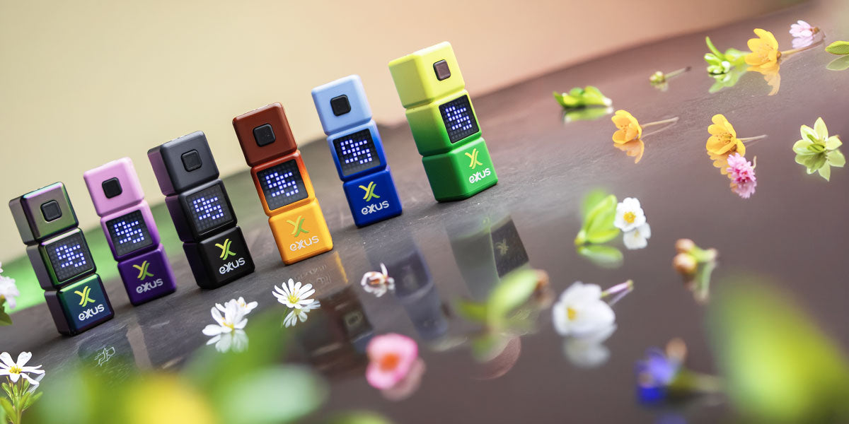 Exxus Stax units on reflective dark surface with spring flower petals scattered